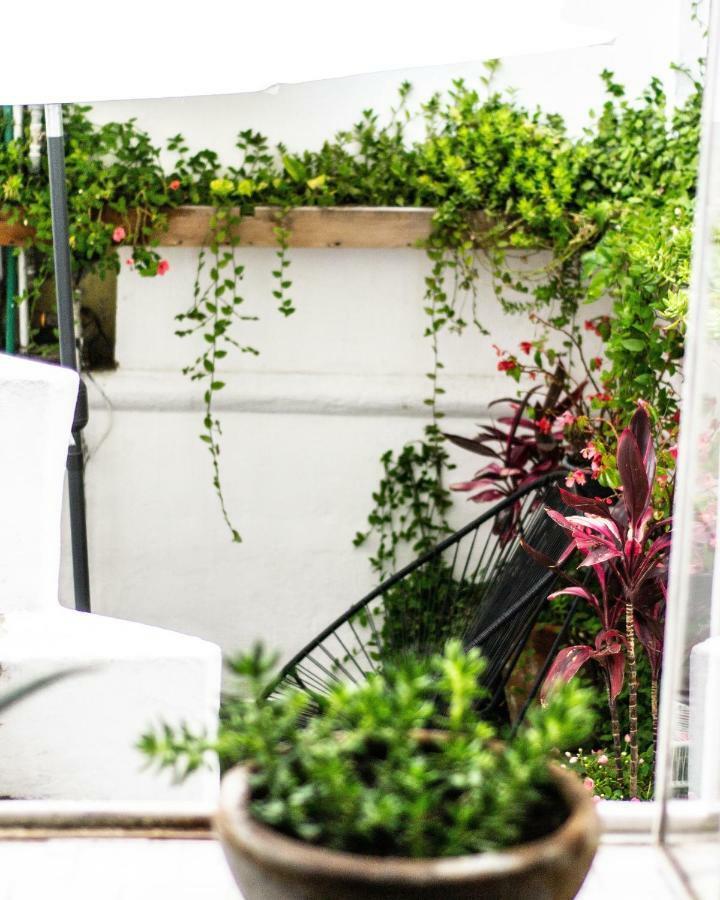 Gente De Mas Bnb Puebla Exterior photo